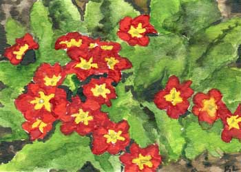 "Primrose" by Beverly Larson, Oregon WI - Watercolor
